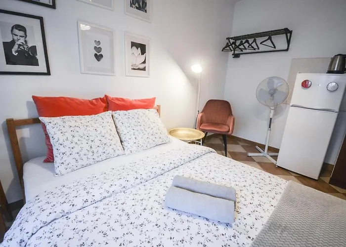 Lion Apartments - Your Own Apartment In Cracow